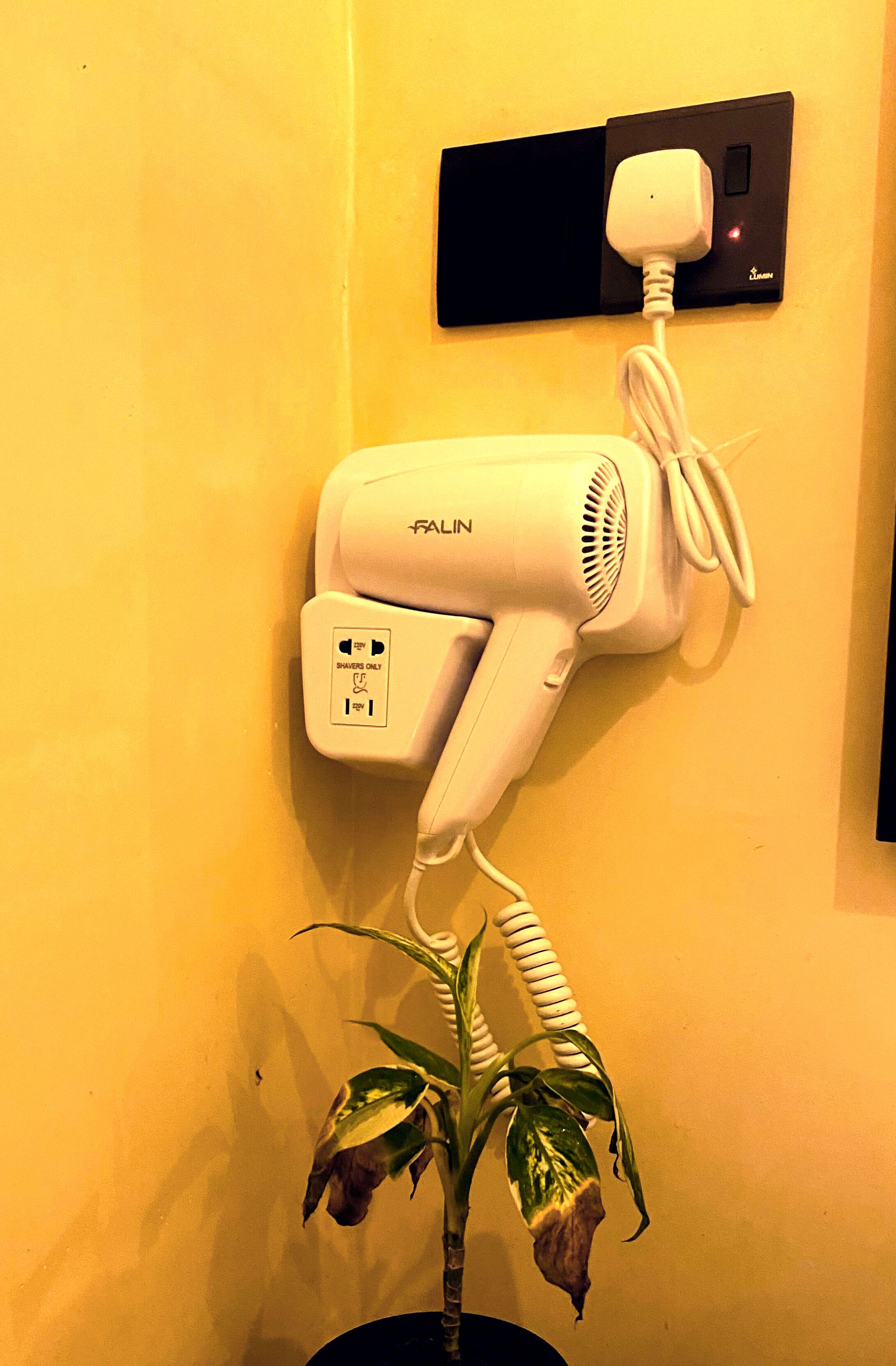 A hair dryer mounted on a yellow wall, a power outlet, and a potted plant.