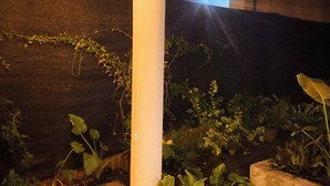 A night scene with a white column, potted plants, and a hanging light fixture.