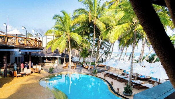 A pool area with lounge chairs and umbrellas, surrounded by palm trees.