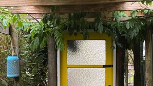 Een gele deur met een geëtste ruit, omringd door groen en een hanglamp.