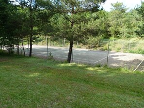 Een tennisbaan omringd door bomen en gras.