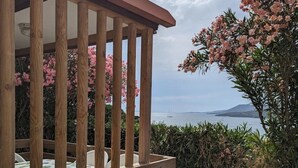 Une terrasse en bois offrant une vue sur la mer et une montagne au loin.