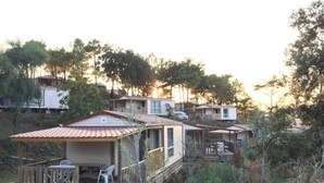 Una hilera de casas móviles con terrazas exteriores, rodeadas de árboles y vegetación.