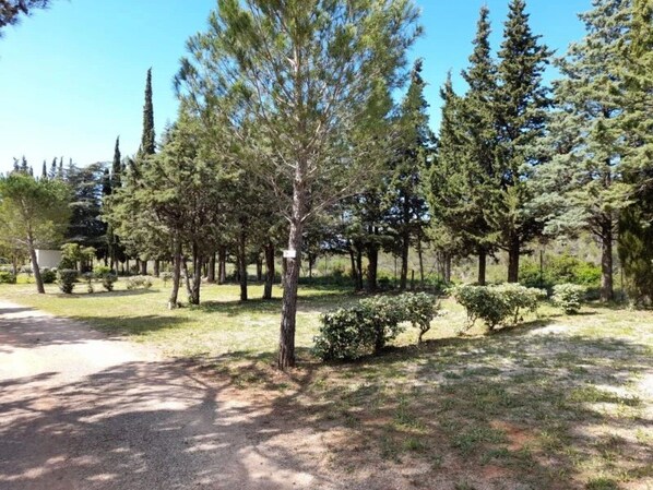 Un parque con diversos árboles y un sendero de grava.