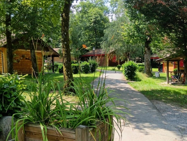 Un sendero que lleva a cabañas de madera rodeadas de abundante vegetación y árboles altos.