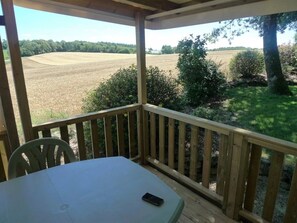 Unclassified image, 2 of 13, button