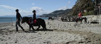 Appartement 3 étoiles - Piscine  - ccb0dhd