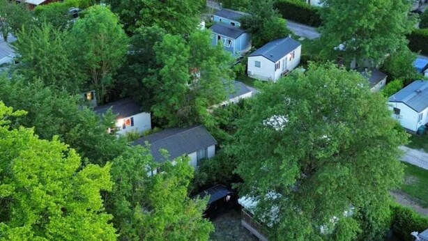 A residential area with multiple houses surrounded by dense greenery.