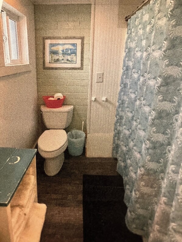 A small bathroom with a toilet, a sink, and a shower curtain. - Moments to beach. Two queen beds, full kitchen with essentials. Dog friendly. (Pacific Beach)