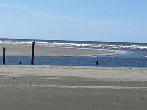 Sun-loungers, beach towels