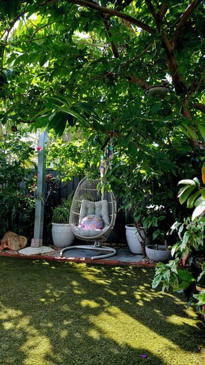 Property grounds - Charming Broome Bijou Home with Private Pool (Djugun)