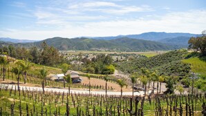 Un vignoble avec des rangées de vignes, un bâtiment et des montagnes à l’horizon.