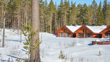 A cabin with a wooden exterior and large windows, surrounded by a snowy forest.