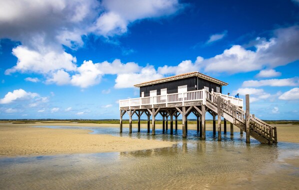 Strand