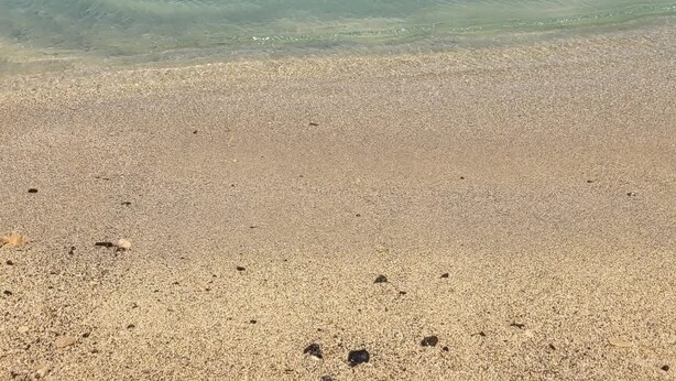 Une plage à l’eau turquoise et limpide, bordée de formations rocheuses, avec une île qui se profile à l’horizon.