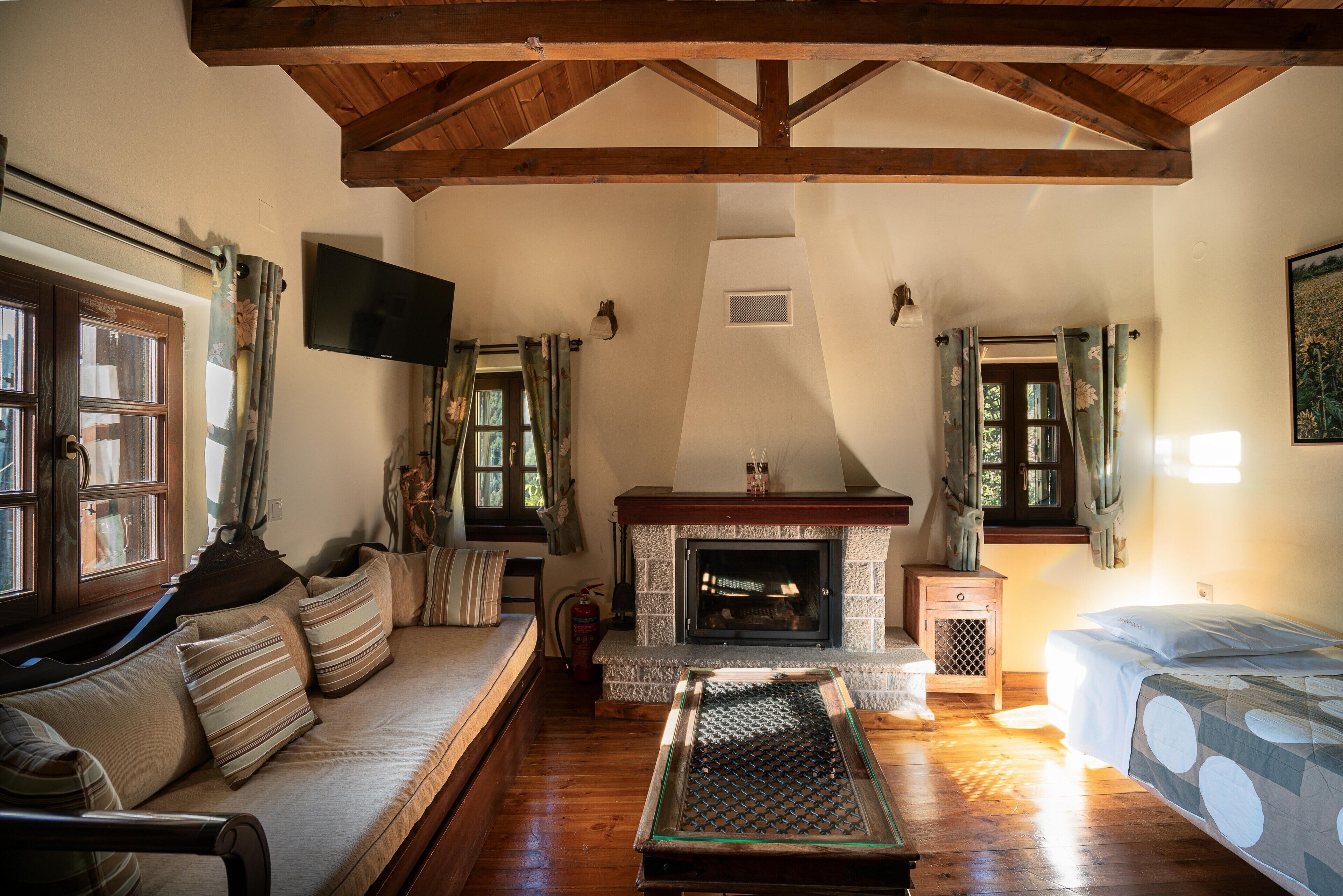 TV, fireplace