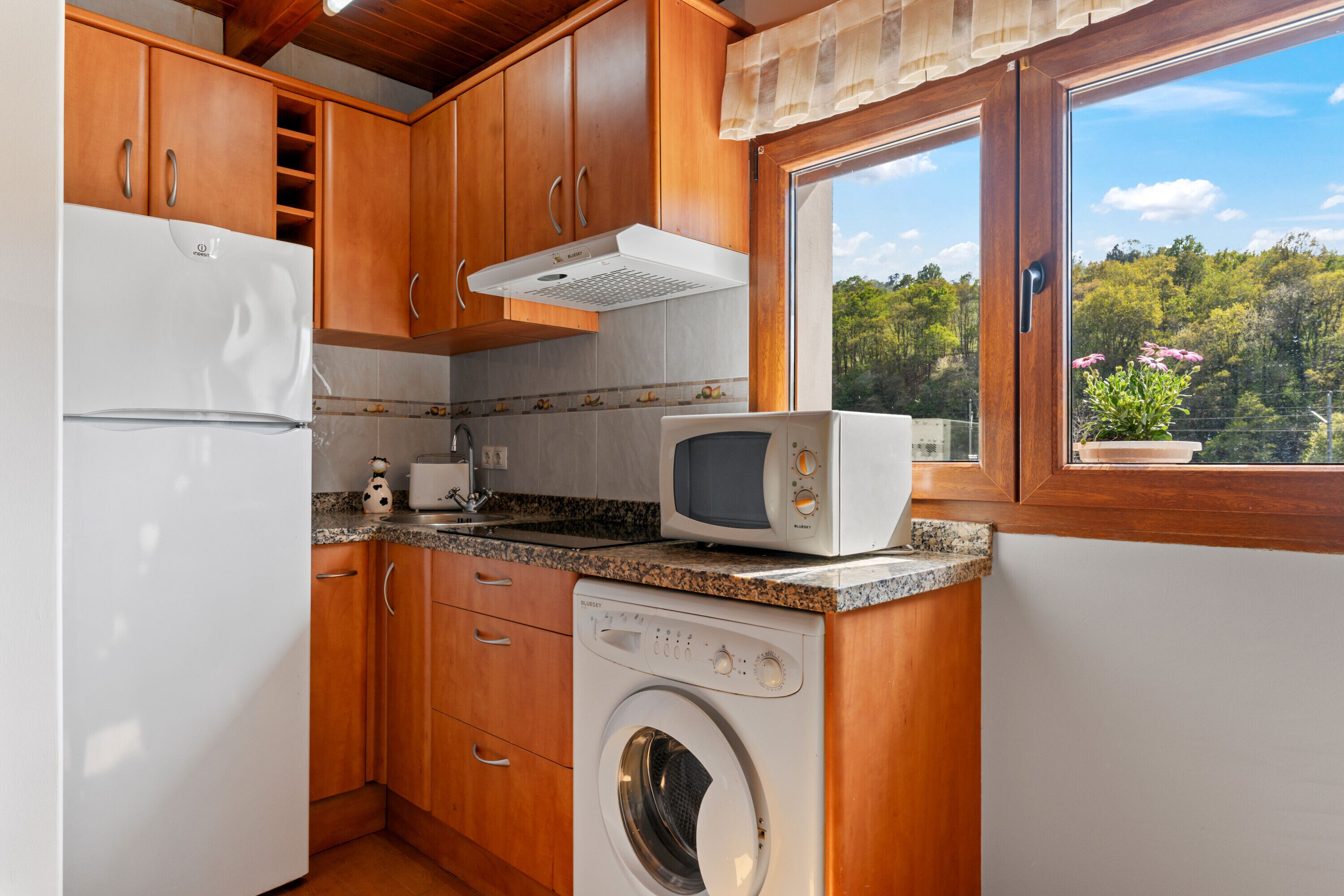 Een koelkast, een magnetron, een kookplaat