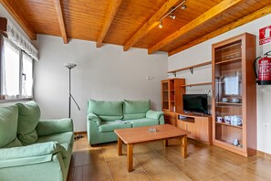 Fernseher