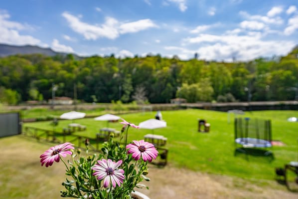 Un jardin avec des fleurs, des tables et des chaises.