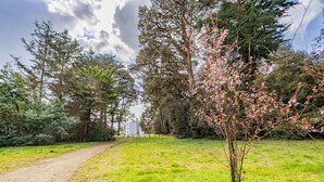 A pathway leading through a park with trees and a clear sky. - At Aux Pins Maritimes, with Beautiful Terrace - A22 (Pornic)