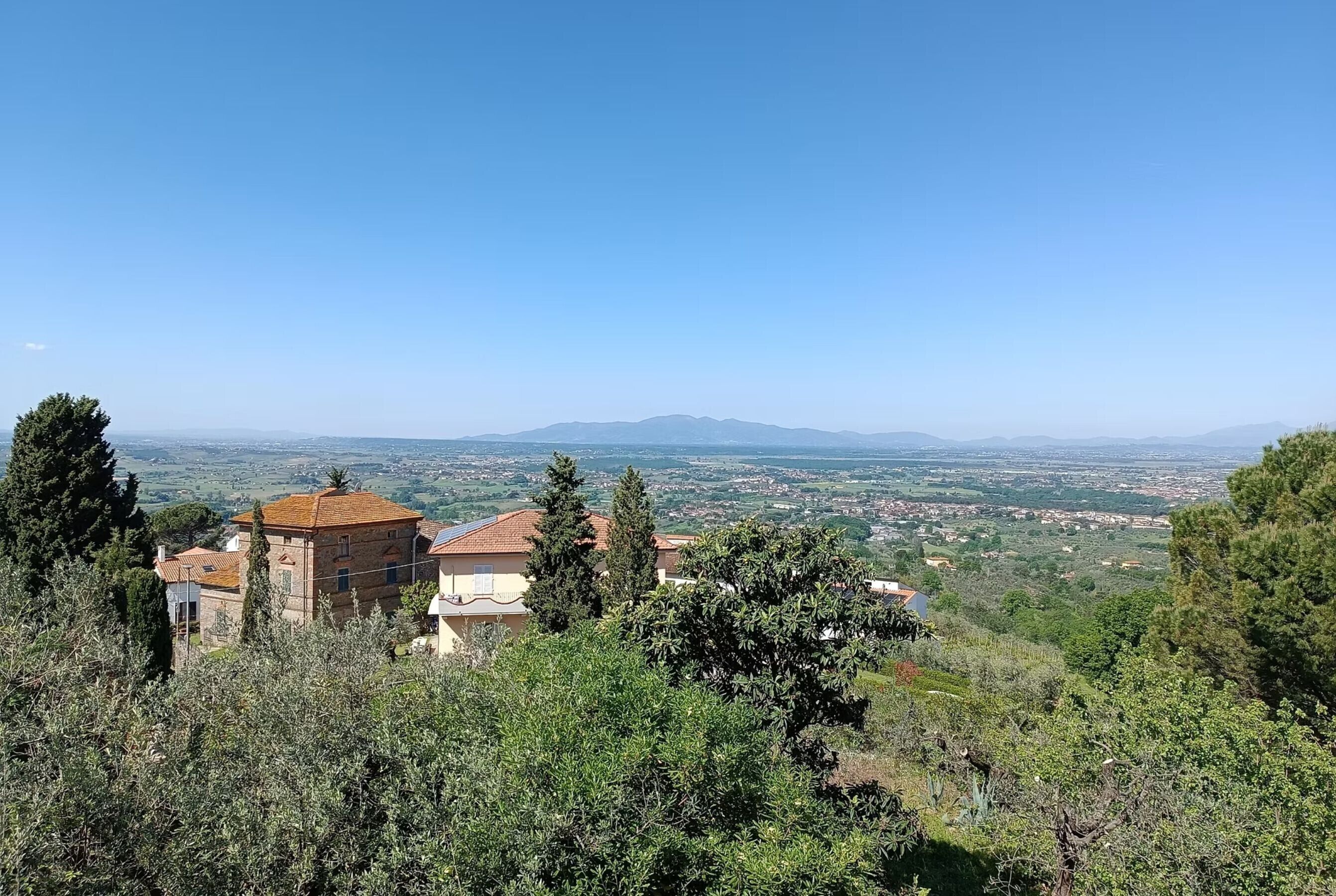 A view of a hillside with buildings, trees, and a distant mountain range.