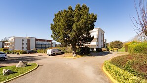 Un barrio residencial con un gran árbol, automóviles estacionados y un edificio de fachada blanca.