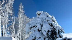 A snow-covered landscape with a tree and a building. - Discover Gîte Le Pradel in Les Estables
 (Les Estables)