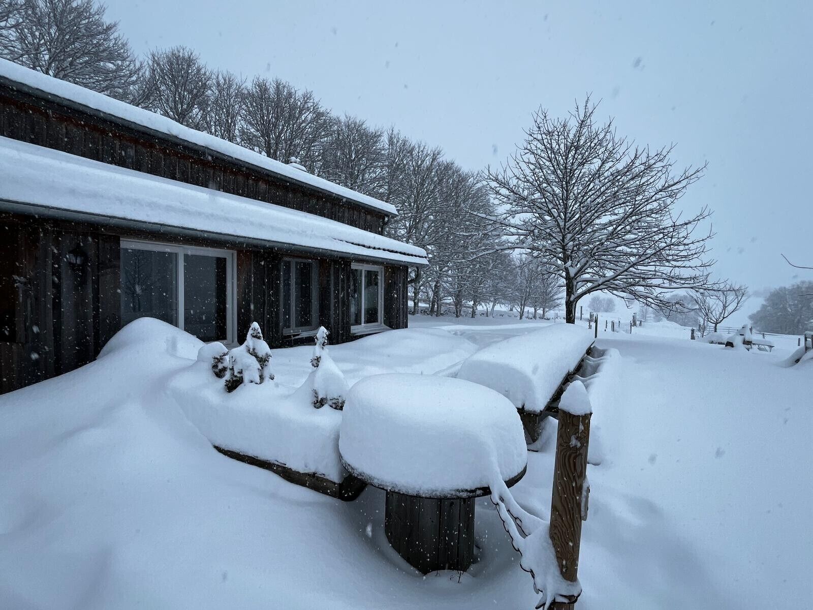 A snow-covered building with a wooden exterior, a visible window, and a snow-covered tree in the background.