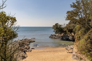 Une plage bordée de falaises rocheuses, aux eaux cristallines et à la végétation clairsemée.