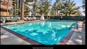 A community pool with clear blue water, surrounded by trees and a green fence.
