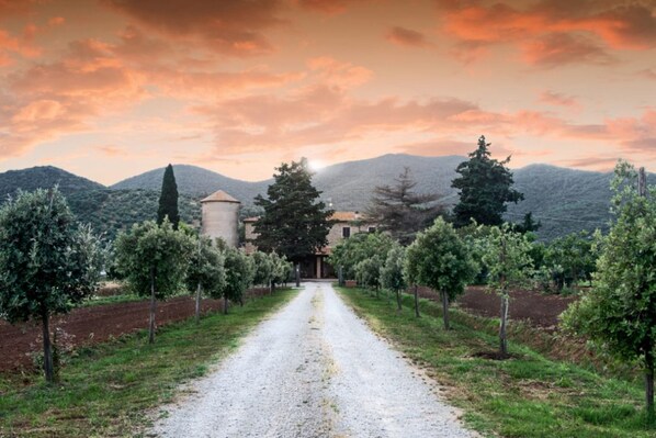 A gravel path leading to a building surrounded by trees and mountains.