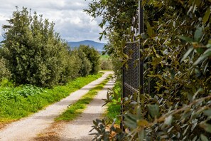 Parco della struttura