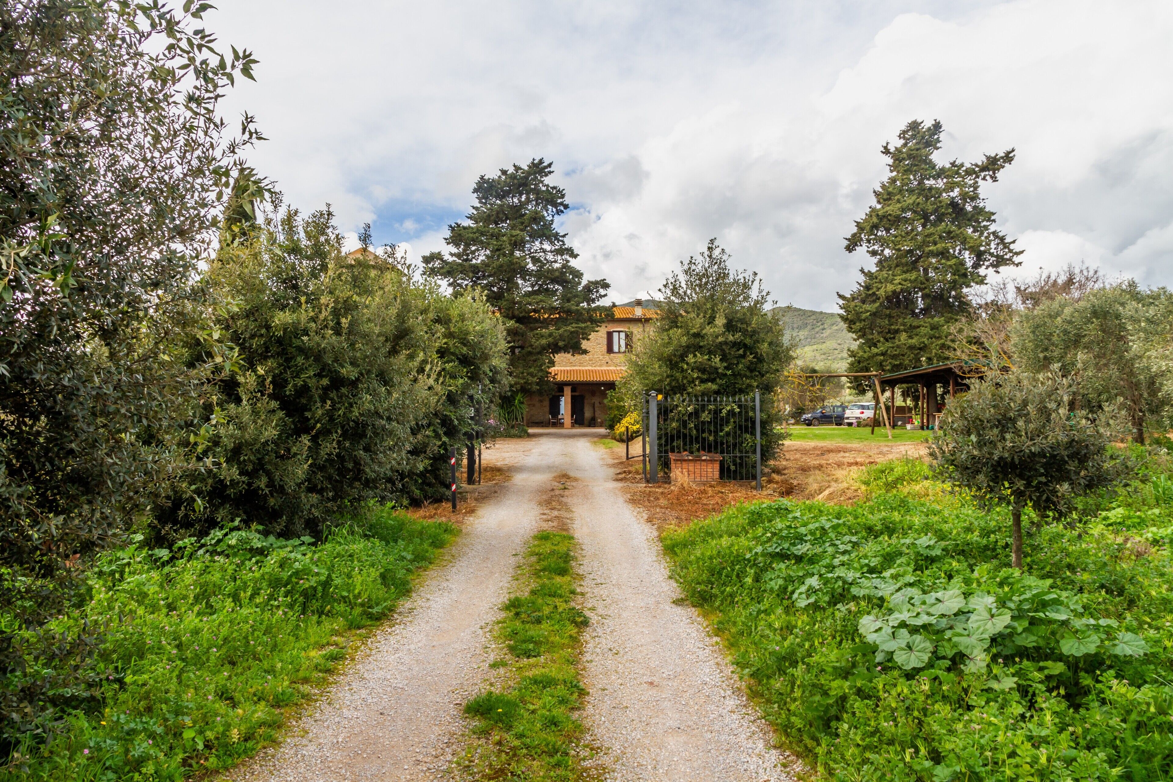 Un sendero rural que lleva a una construcción rústica rodeada de follaje y árboles.
