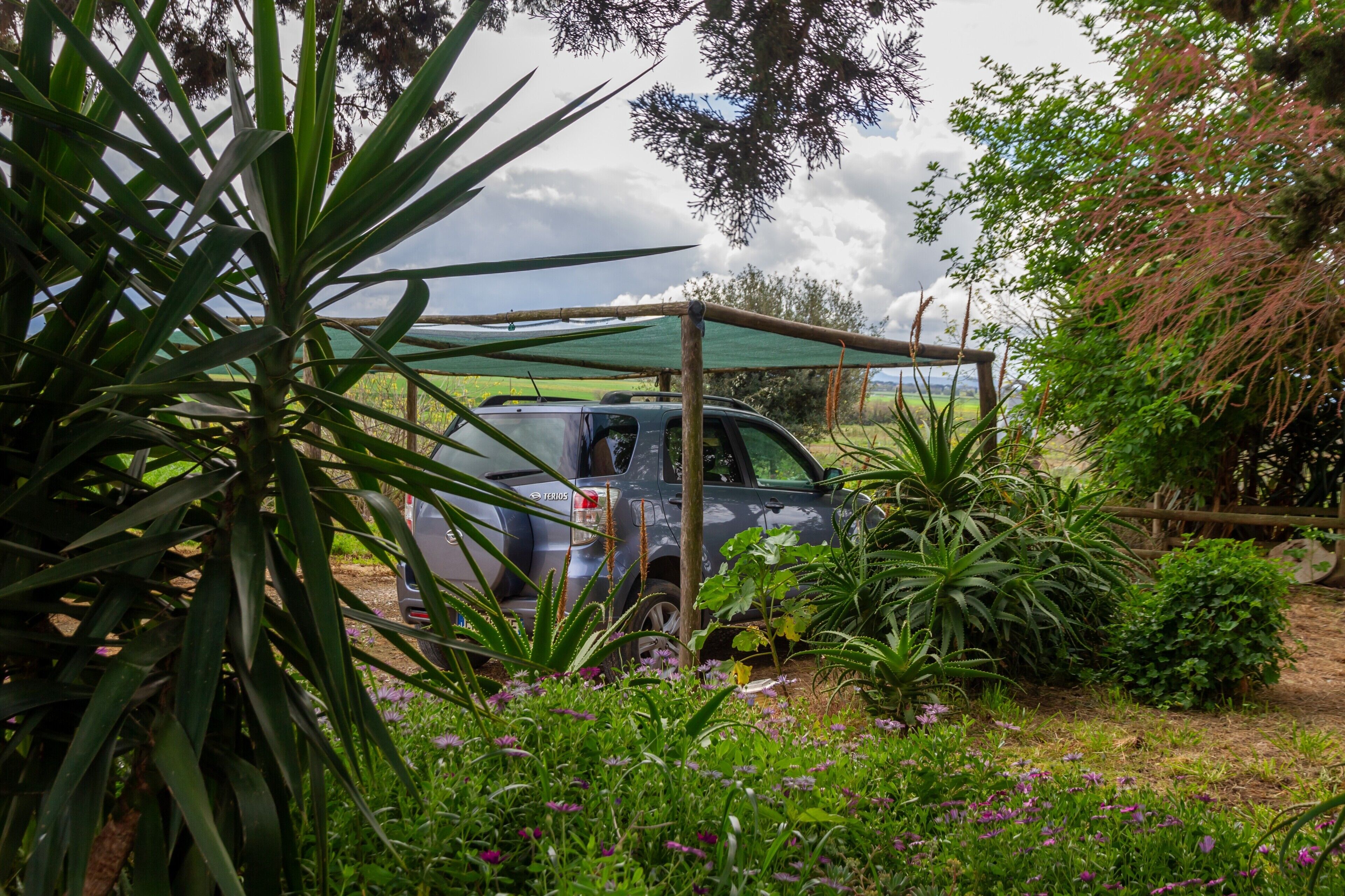 A car parked under a wooden structure with a green tarp, surrounded by lush greenery and flowering plants.