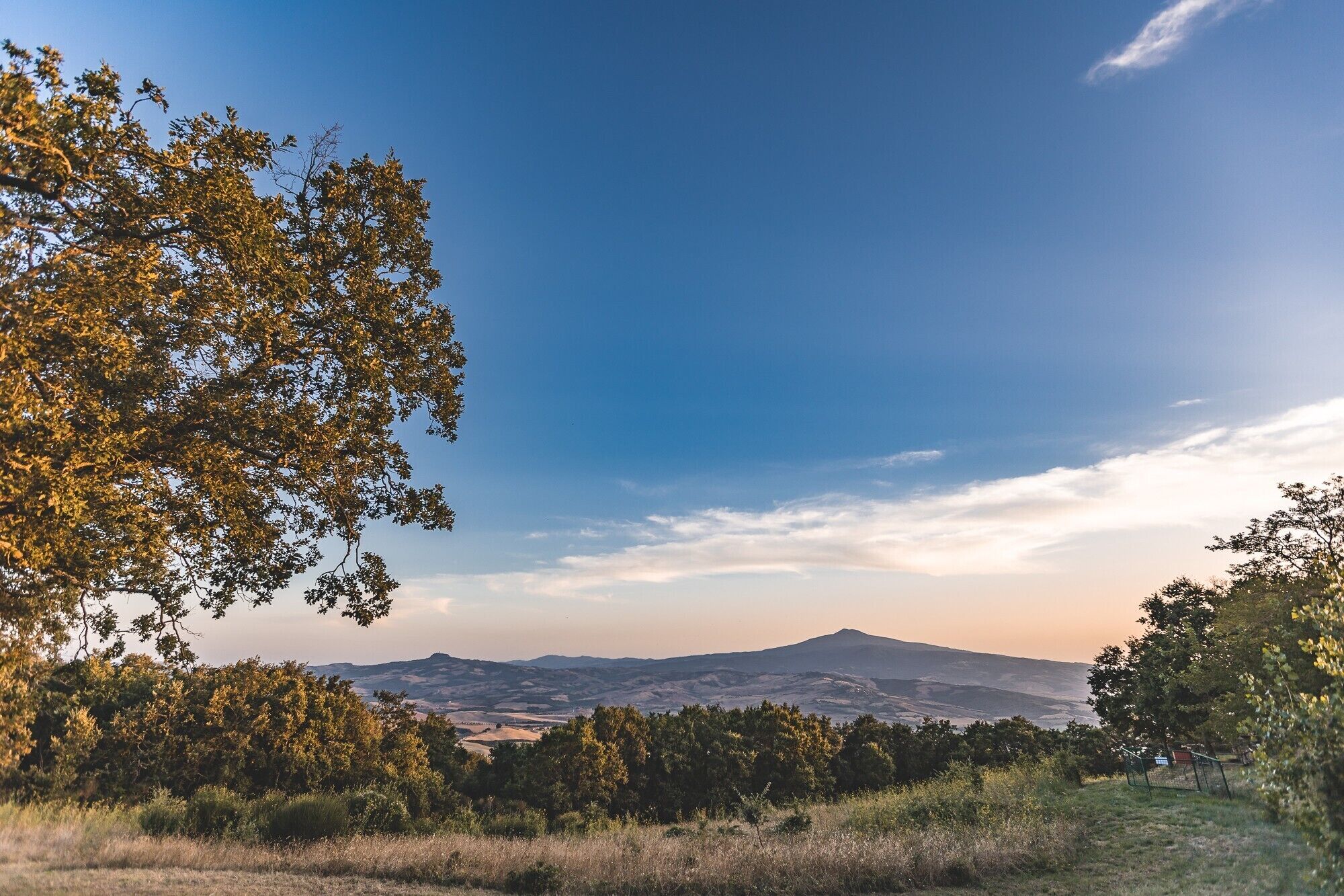 A landscape with a mountain in the distance, trees, and a clear sky.