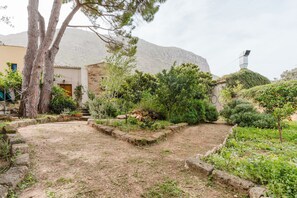 Property grounds - Apartment 'Nespolo' with Private Garden, Wi-Fi and Air Conditioning (Castelluzzo)