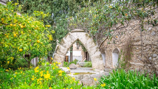 Un arco de piedra rodeado de abundante follaje y flores amarillas.