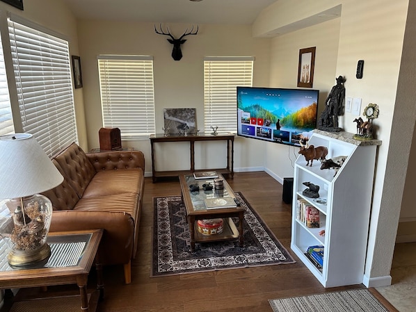 Smart TV, video games, books, music library