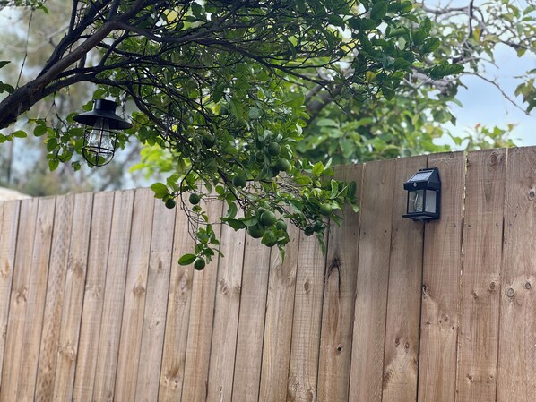 Enceinte de l’hébergement