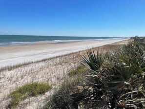 Een strand met een heldere lucht, zandstrand en schaarse begroeiing.