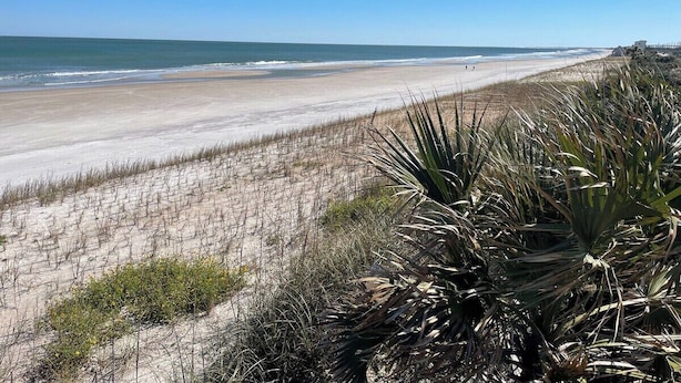 Une plage avec un ciel dégagé, un rivage sablonneux et une végétation clairsemée.
