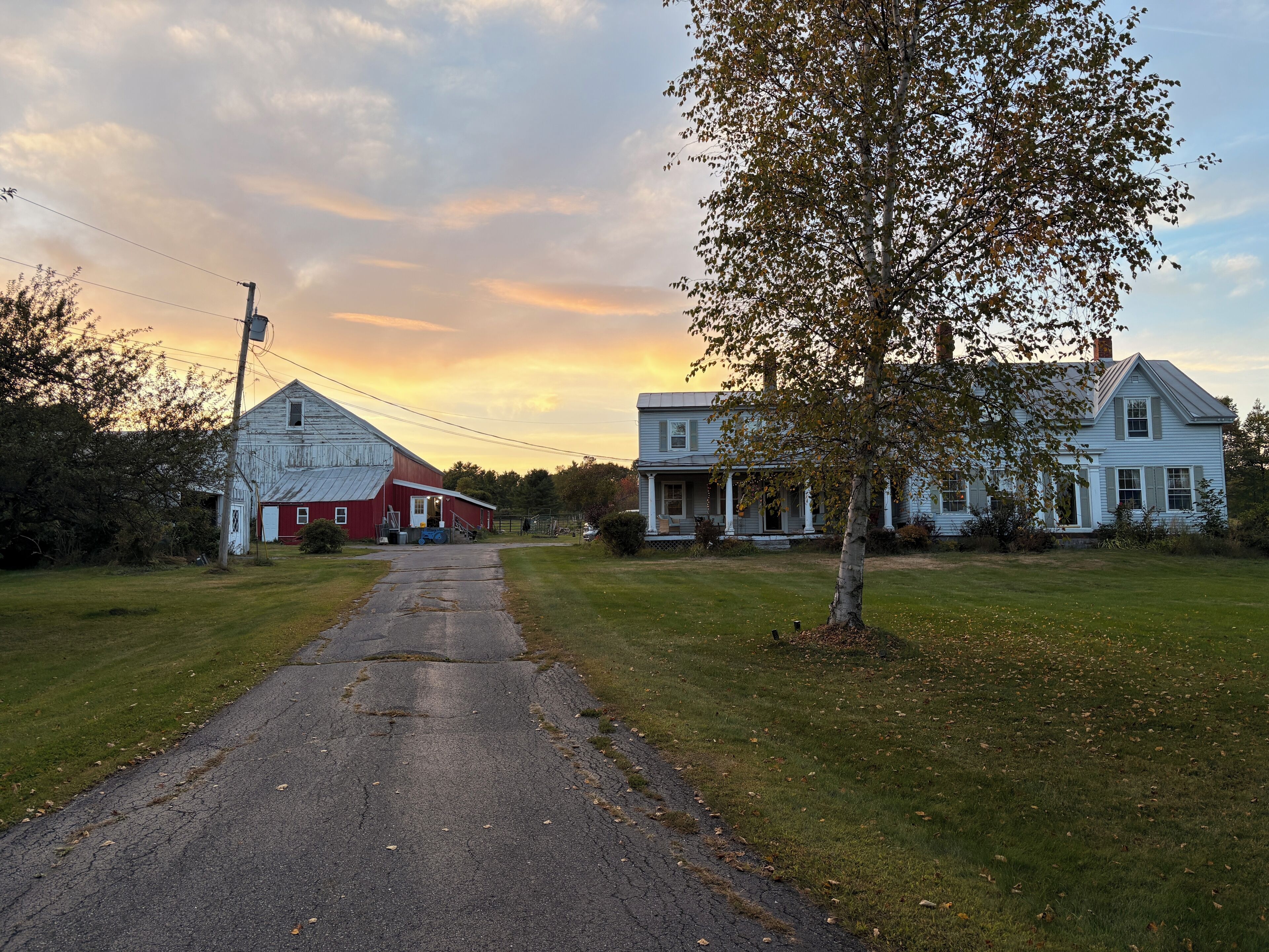 Udendørsområde