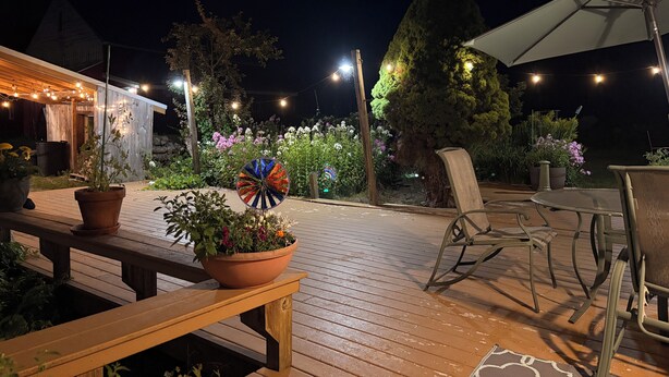 Een houten terras met buitenmeubilair, een grote plant in pot en lichtjes.