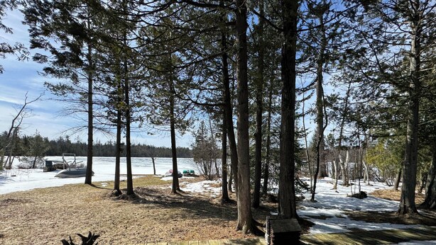 A wooden deck leading to a forested area with a lake in the background.