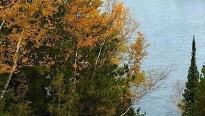 A river surrounded by autumn foliage.