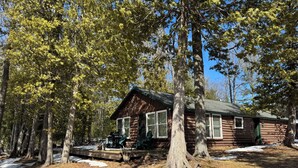 A log cabin surrounded by tall trees with a clear sky.