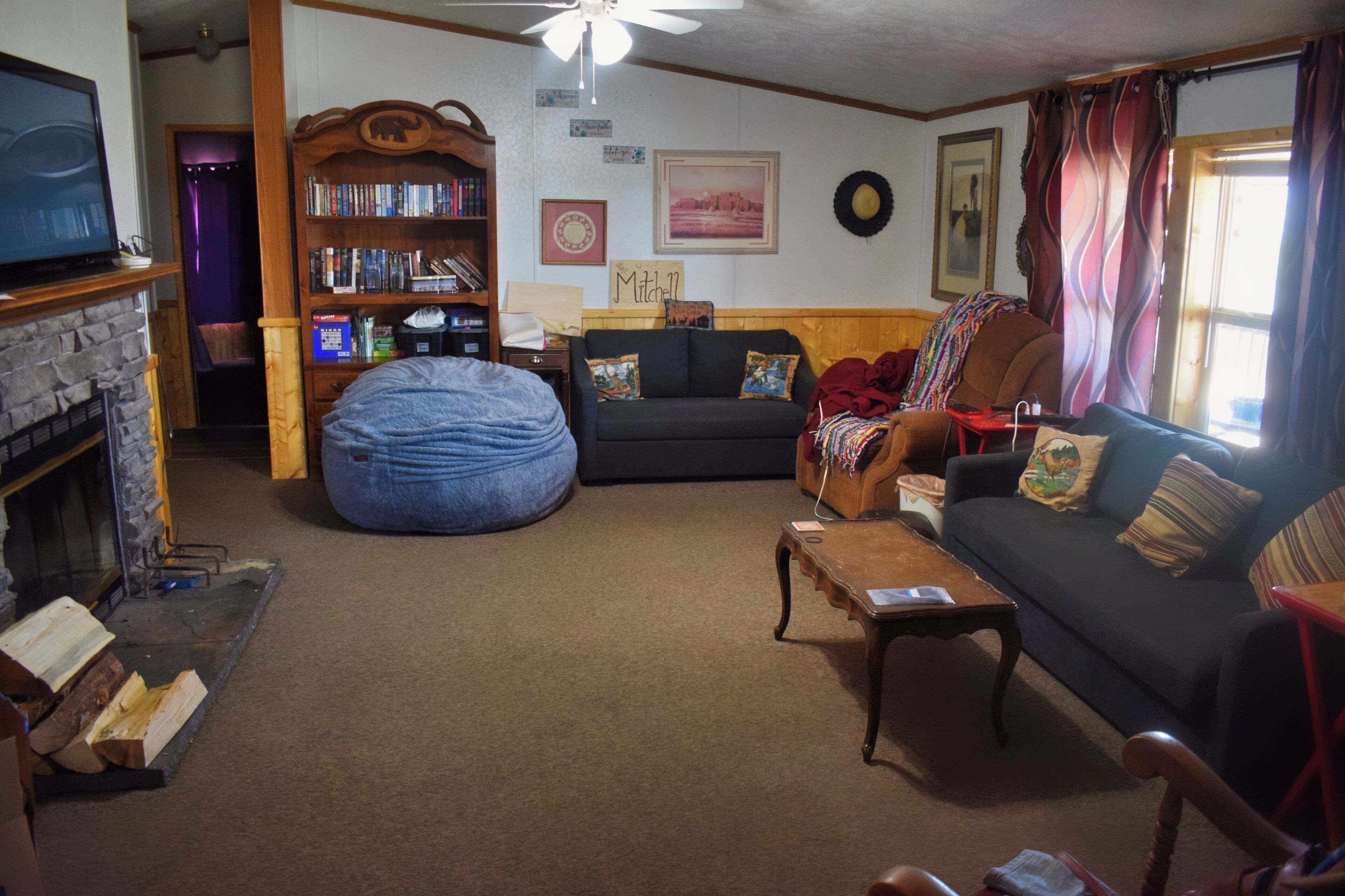 TV, fireplace, books