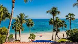 Une plage bordée de palmiers, sous un ciel bleu et dégagé.