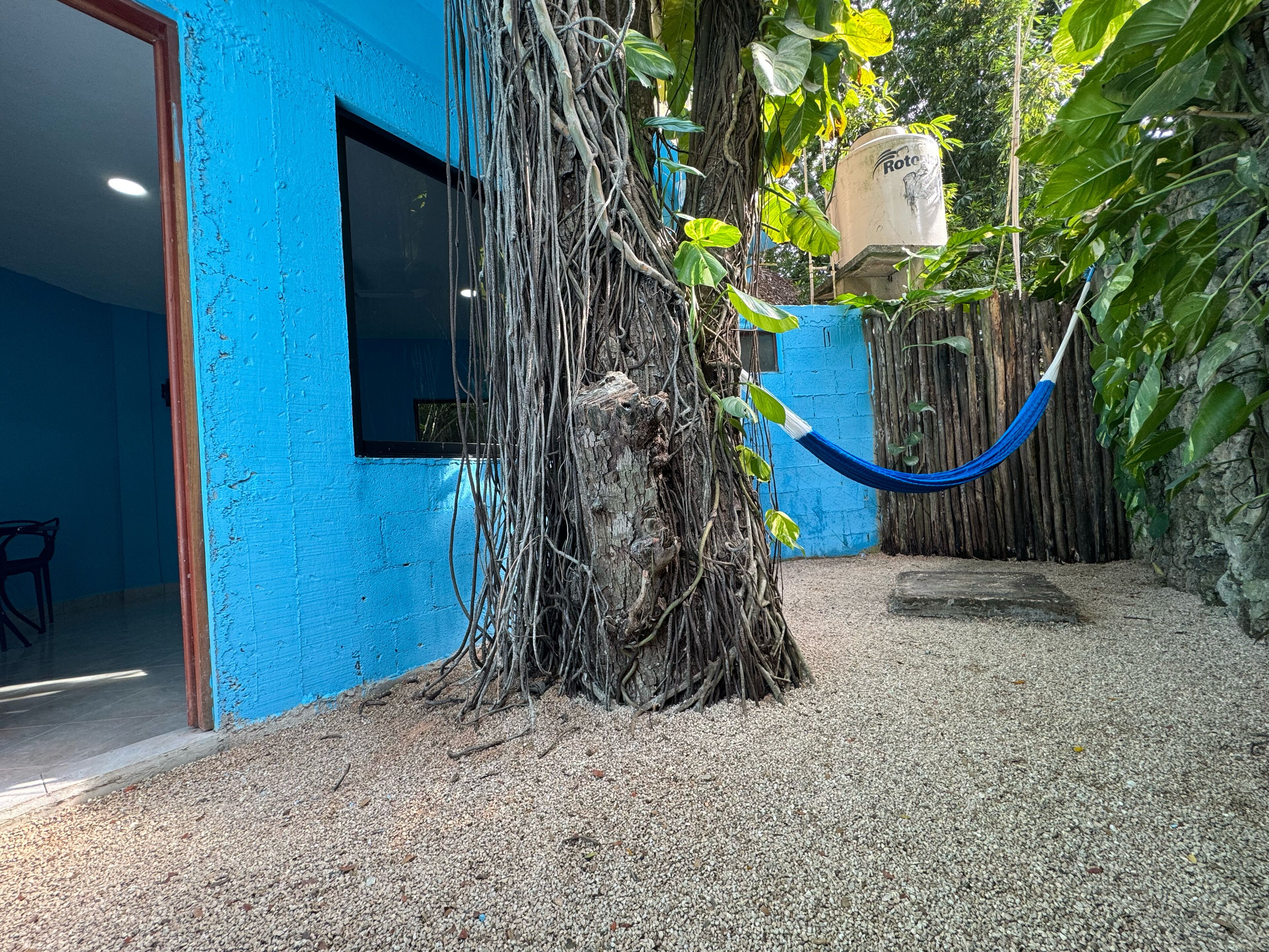 Habitación Deluxe, 1 cama King size, vista a la alberca, junto a la alberca | Terraza o patio