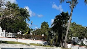 Piscina de blau clar envoltada de palmeres i una tanca blanca.